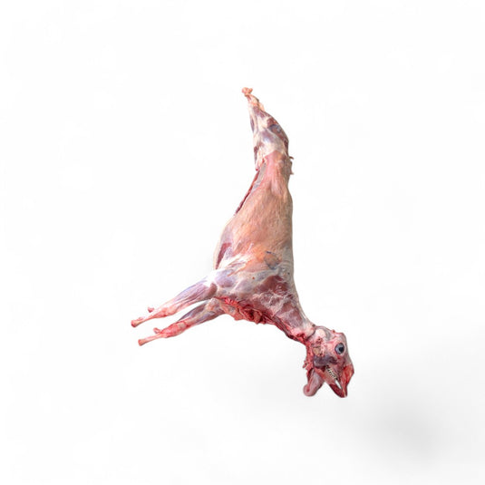 Ontario Fresh Baby Goat