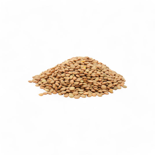 Brown Lentils